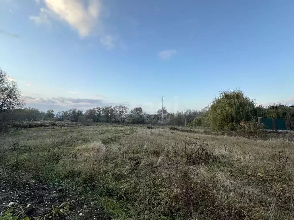 Участок в Воронежская область, Рамонский район, с. Новоживотинное ул. ... - Фото 2