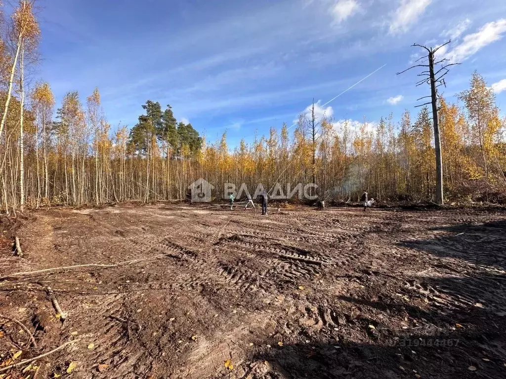 Участок в Ленинградская область, Всеволожск ул. Мужества (6.0 сот.) - Фото 0