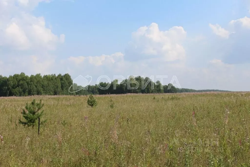 Участок в Тюменская область, Тюменский район, с. Каменка  (7.5 сот.) - Фото 1