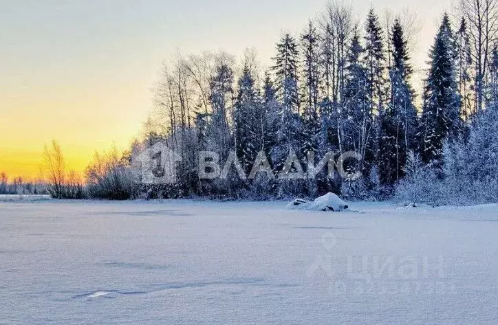 Участок в Ленинградская область, Гатчинский муниципальный округ, д. ... - Фото 1