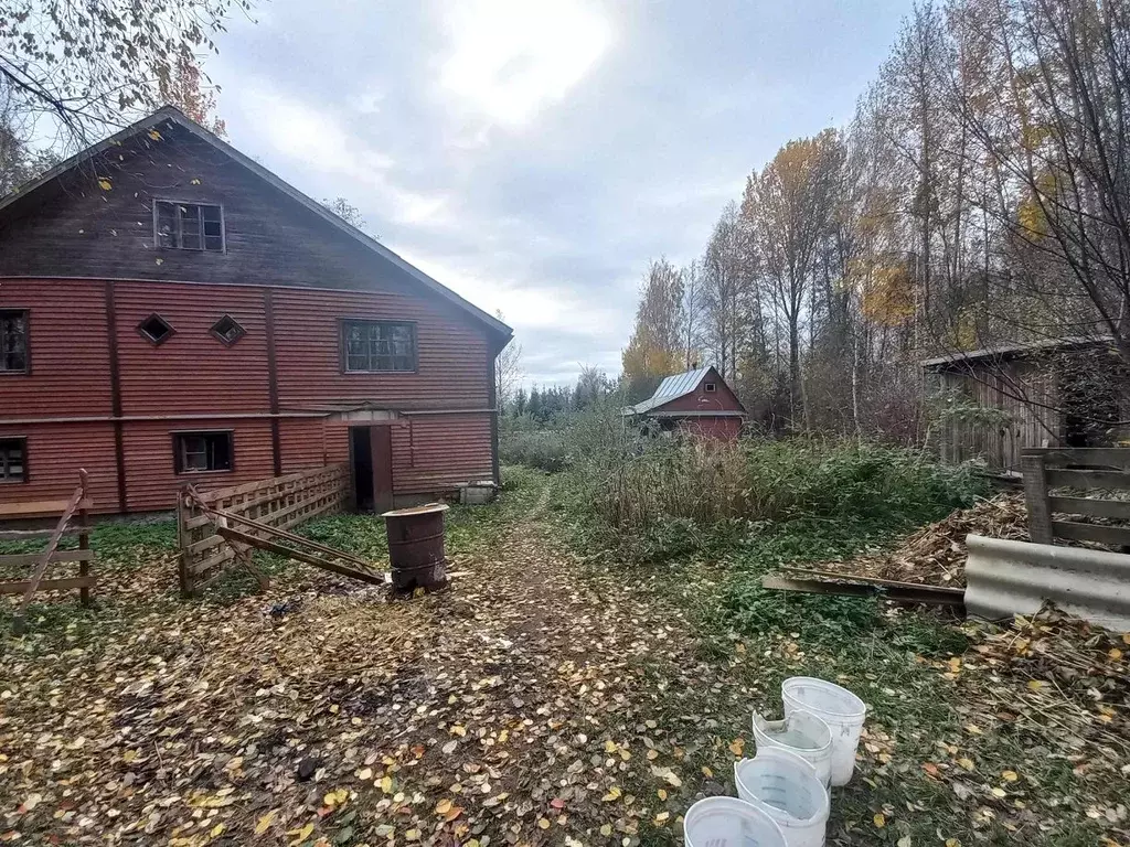 Коттедж в Ленинградская область, Выборгский район, Рощинское городское ... - Фото 1