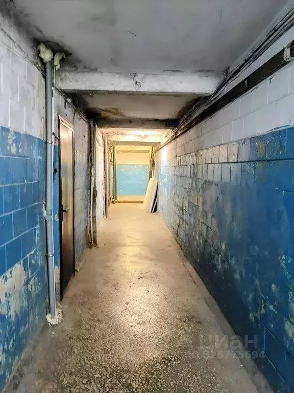 Студия Пензенская область, Пенза просп. Строителей, 3 (17.0 м) - Фото 1