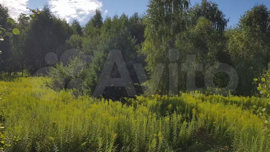 Участок 15 сот. (ИЖС) - Фото 1