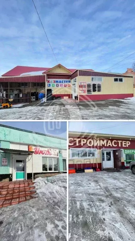 Торговая площадь в Алтайский край, Тогульский район, с. Тогул ... - Фото 0