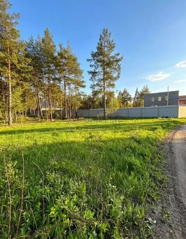Участок в Нижегородская область, Дзержинск  (10.0 сот.) - Фото 2