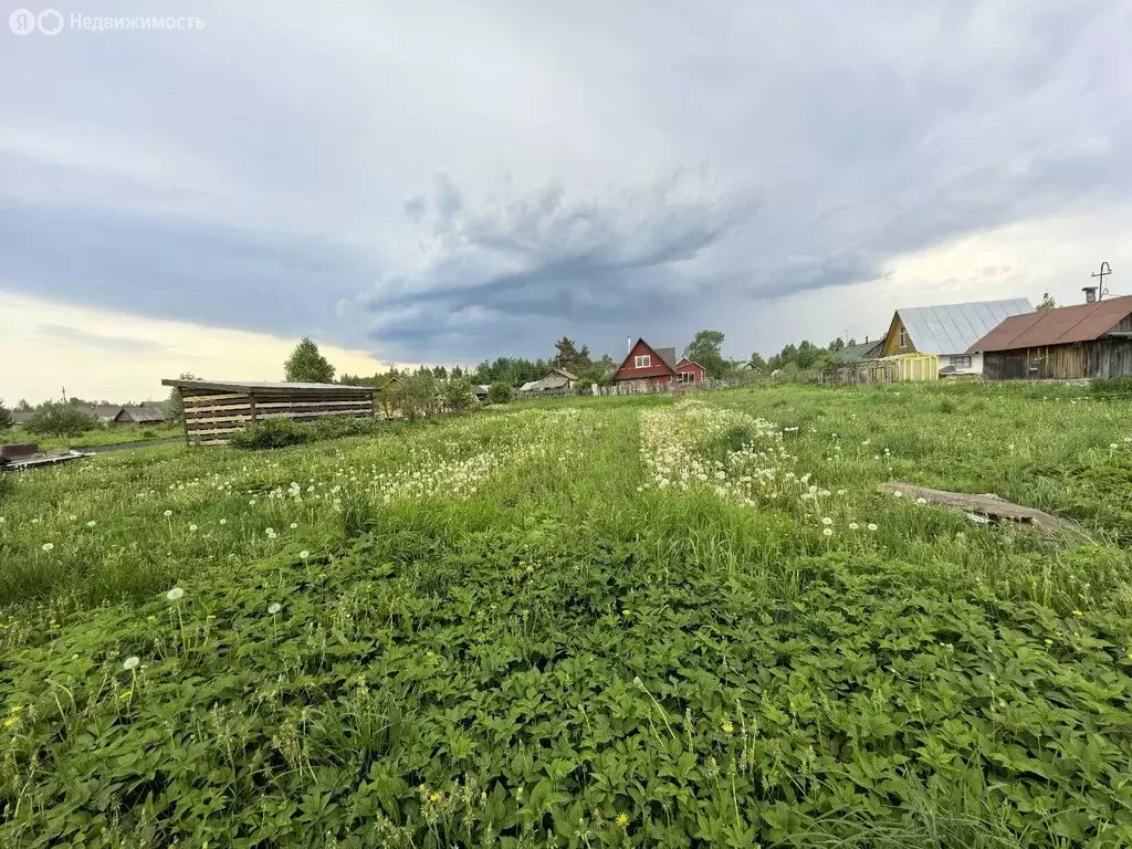 Дом в Кривец, улица Заря Коммунизма, 73 (42 м) - Фото 1