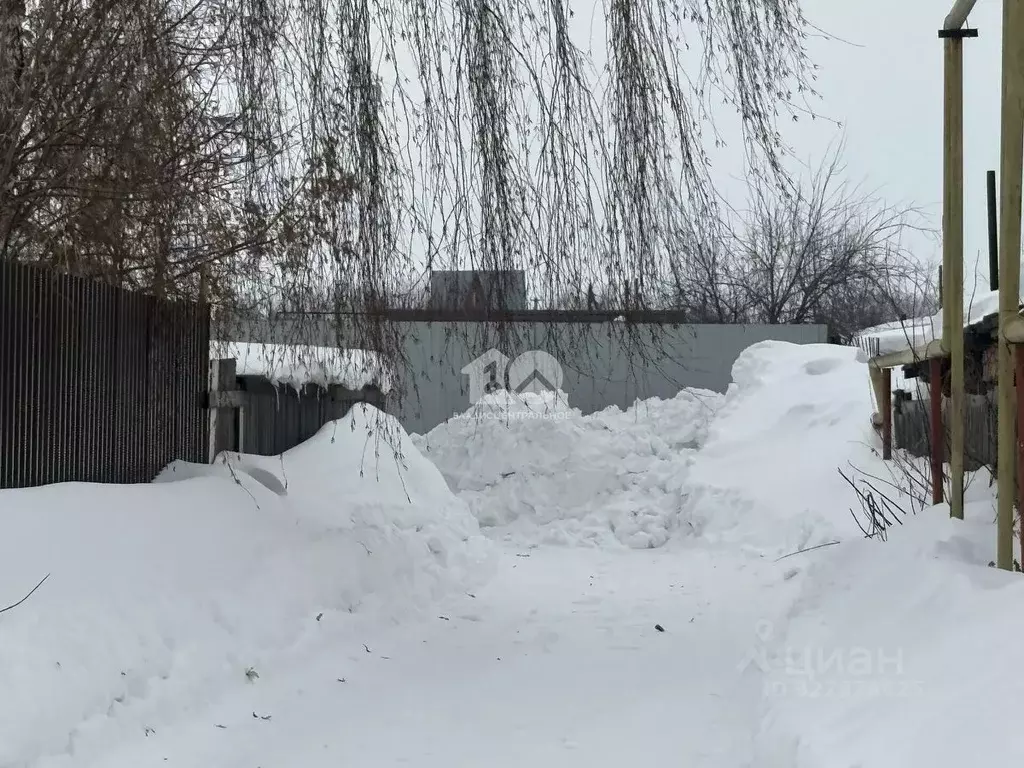 Участок в Новосибирская область, Новосибирский район, Мичуринский ... - Фото 1