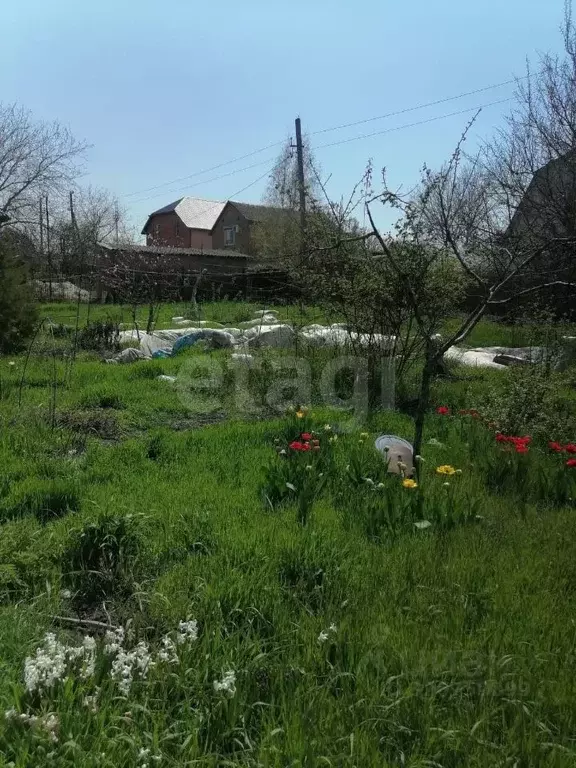 Участок в Ростовская область, Таганрог пос. Вечность, ул. Большая ... - Фото 1