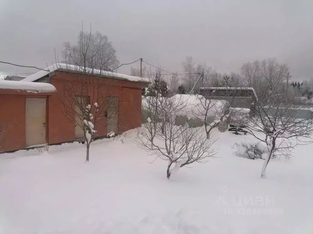 Участок в Ленинградская область, Кировское городское поселение, ... - Фото 1