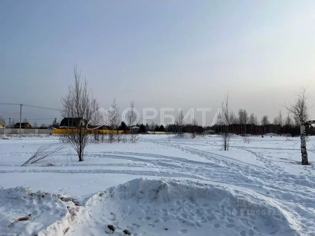 Участок в Тюменская область, Тюмень СОСН Геолог-1 тер., ул. 1-я Линия ... - Фото 0