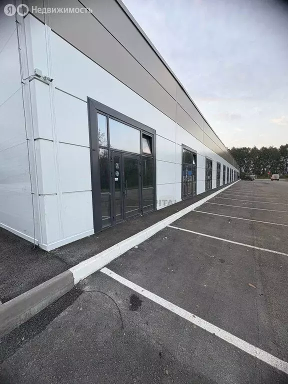 Торговая площадь (54 м) - Фото 1