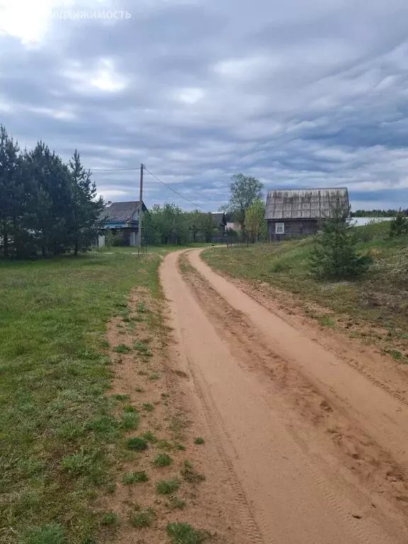 Участок в Новгородская область, Крестецкий муниципальный округ, ... - Фото 1