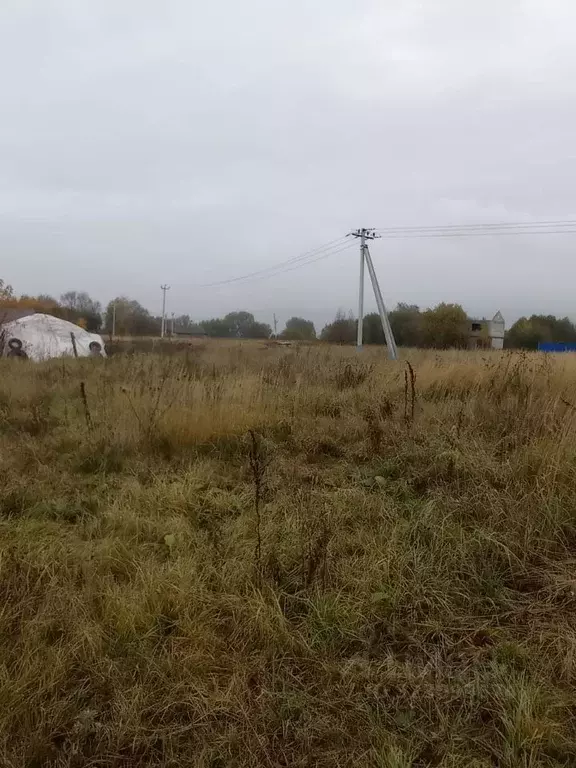 Участок в Московская область, Луховицы муниципальный округ, с. ... - Фото 2