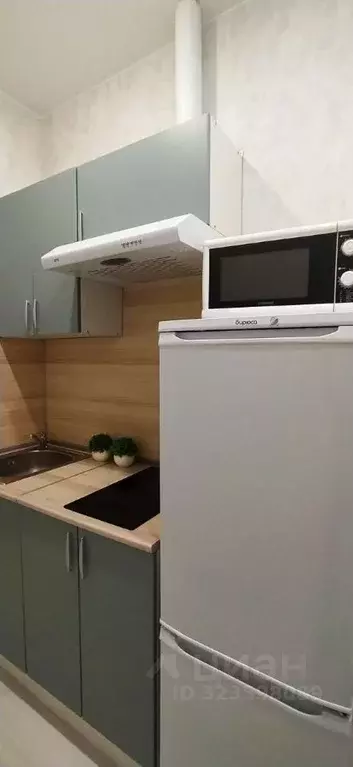 Студия Москва Автозаводская ул., 23Бк2 (21.0 м) - Фото 2