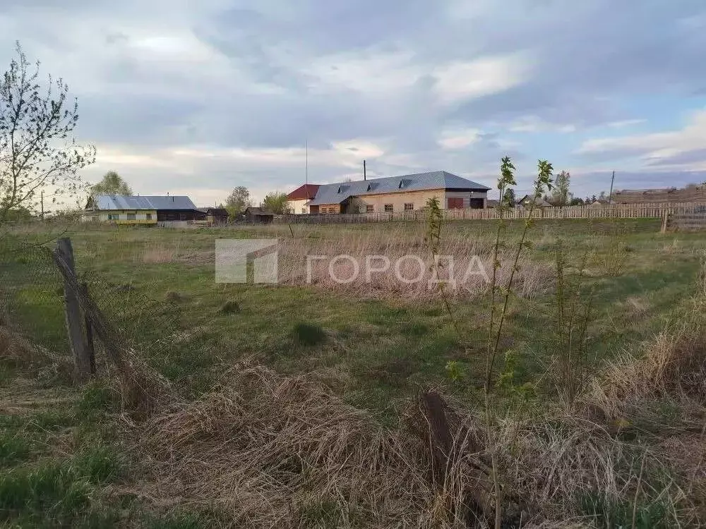 Участок в Алтайский край, Первомайский район, Бобровский сельсовет, ... - Фото 1