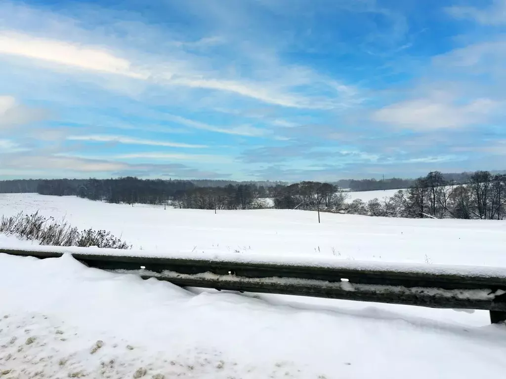 Участок в Московская область, Домодедово городской округ, пос. ... - Фото 2