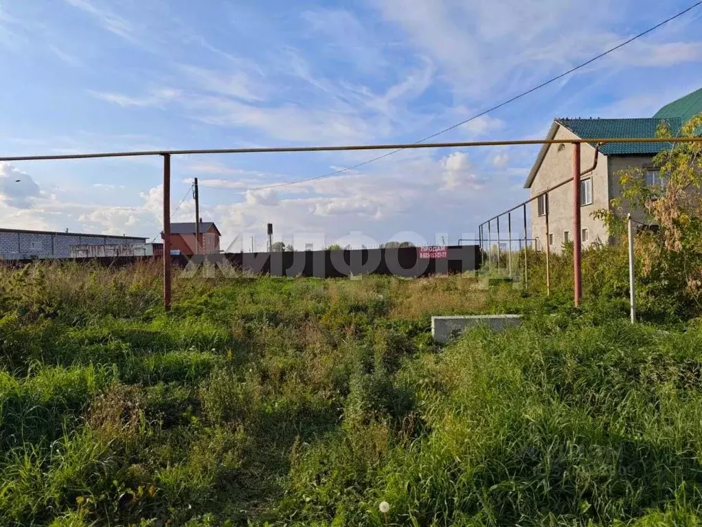 Участок в Новосибирская область, Новосибирский район, Толмачевский ... - Фото 2