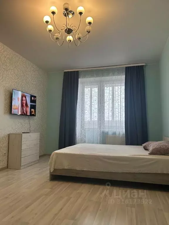 1-к кв. Ленинградская область, Гатчинский район, д. Малые Колпаны, ... - Фото 1