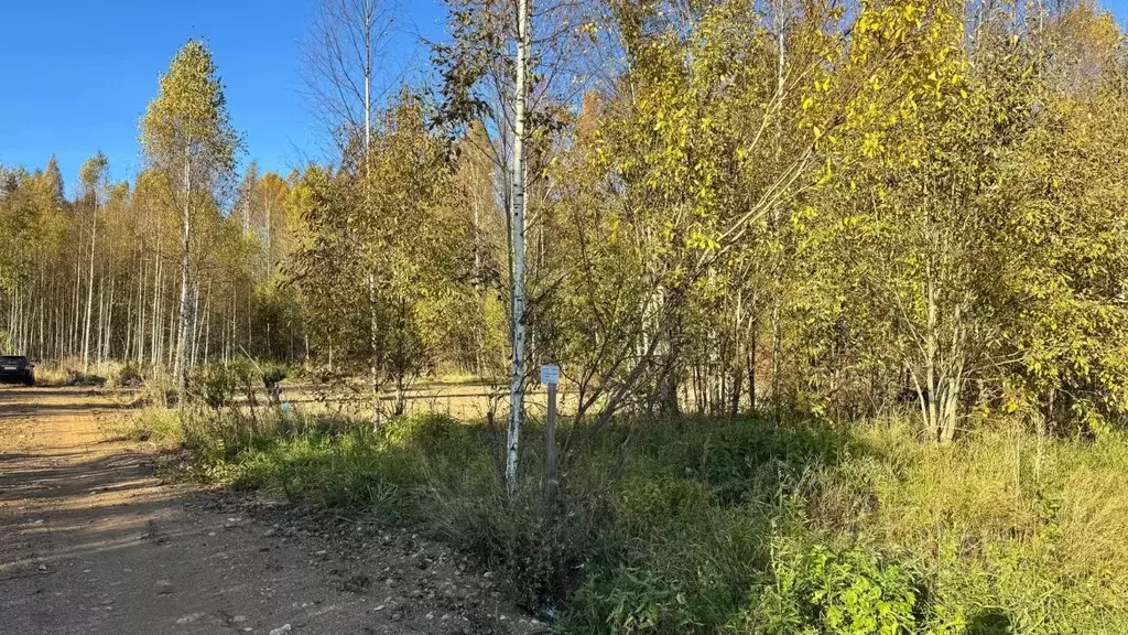 Участок в Ленинградская область, Кировский район, Мгинское городское ... - Фото 1
