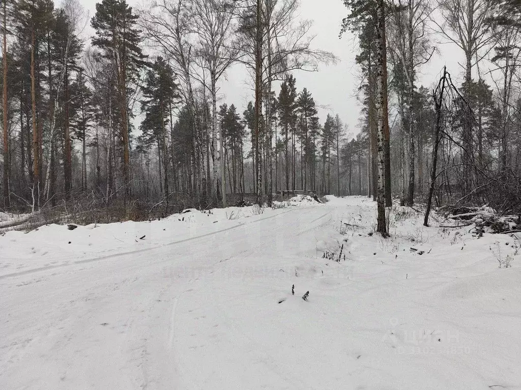 Участок в Свердловская область, Полевской городской округ, с. ... - Фото 0