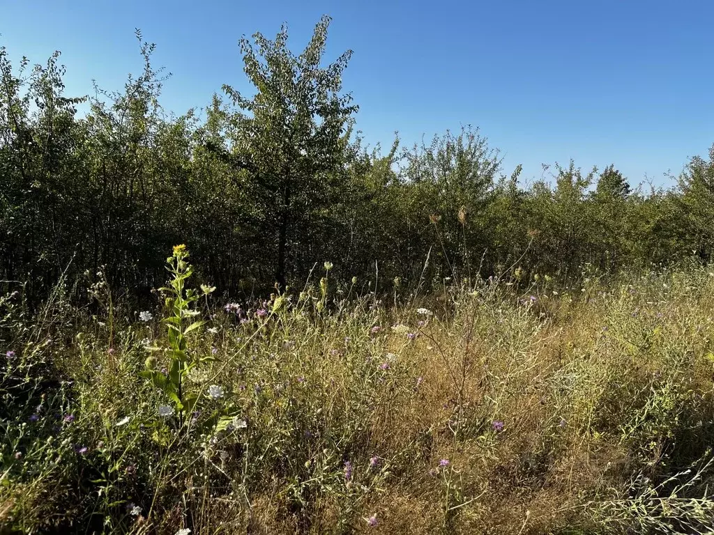 Участок в Краснодарский край, Северский район, Калужское с/пос, ... - Фото 2