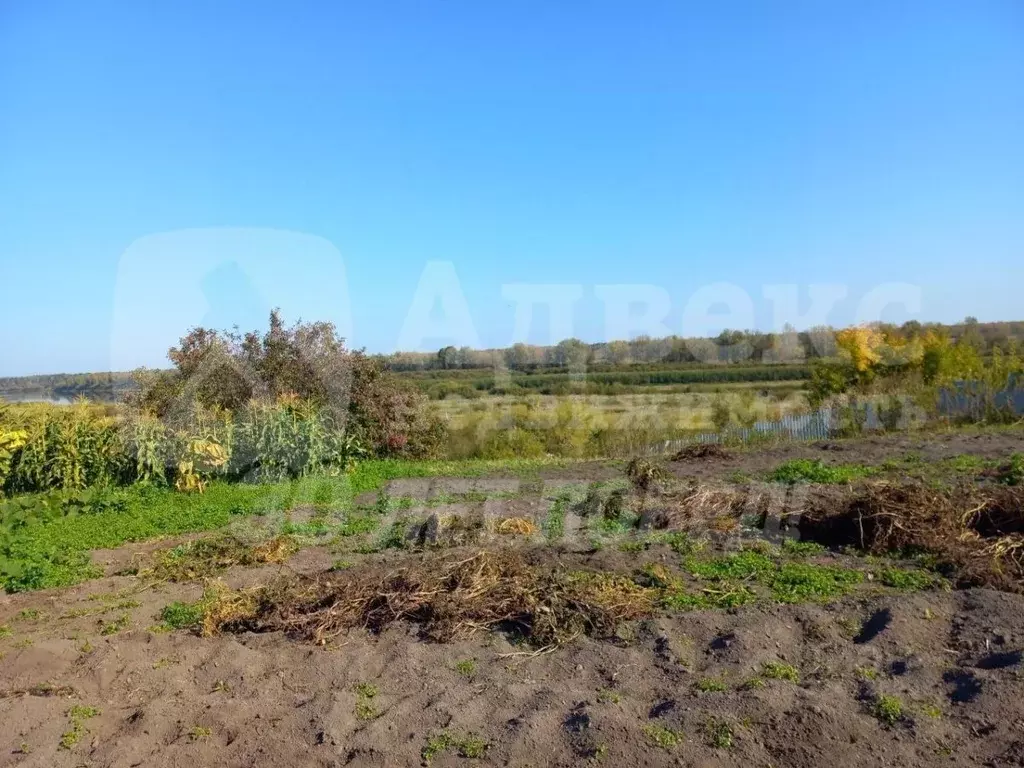 Участок в Тюменская область, Тюменский муниципальный округ, с. Каменка ... - Фото 2