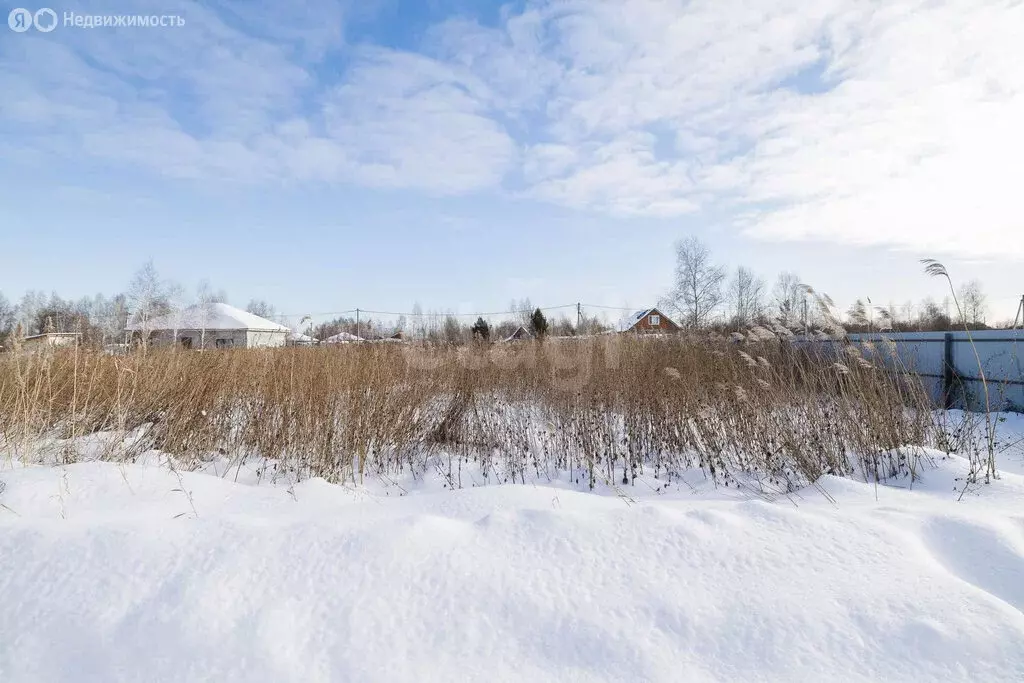 Участок в Тюмень, садовое товарищество Россиянка, улица Мичуринцев ... - Фото 2
