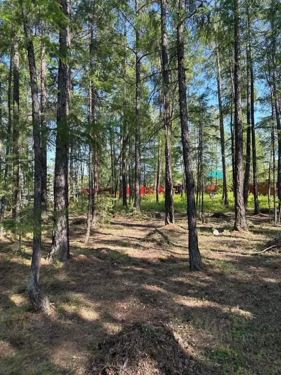Участок в Саха (Якутия), Якутск ул. Сайдыы (10.0 сот.) - Фото 2