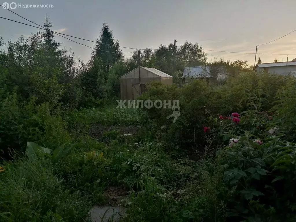Дом в Новосибирск, СНТ Тополь (40 м) - Фото 1