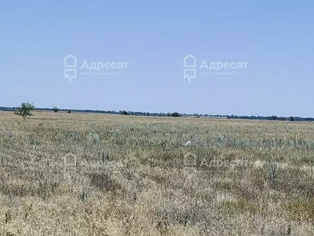 Участок в Волгоградская область, Волгоград ул. Венгерская (6.42 сот.) - Фото 1