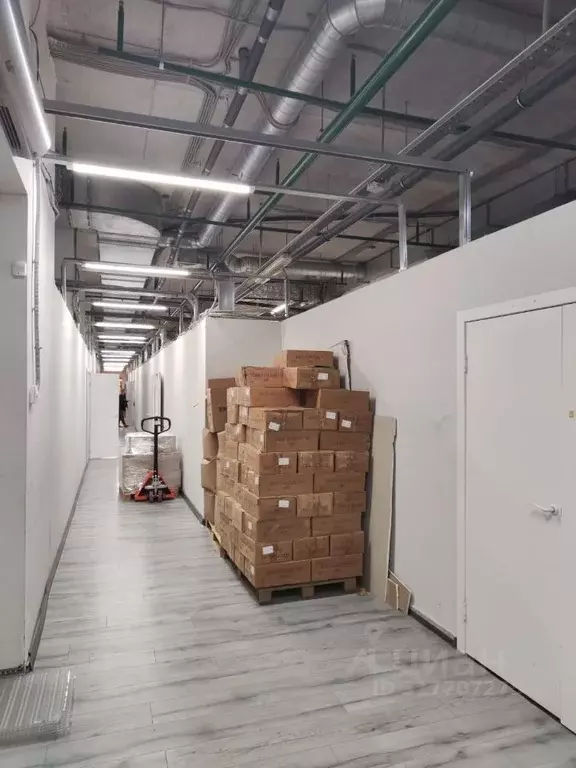 Помещение свободного назначения в Татарстан, Казань ул. Галимджана ... - Фото 1