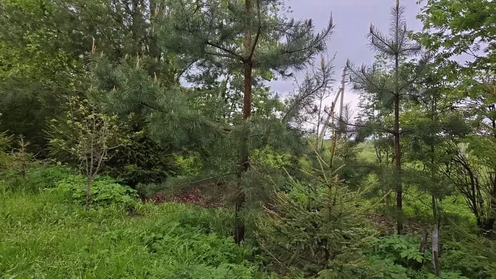 Участок в Московская область, Сергиево-Посадский городской округ, д. ... - Фото 1