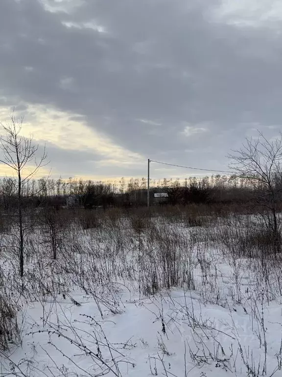 Участок в Алтайский край, Калманский район, Родин Яр ДПК ул. ... - Фото 1