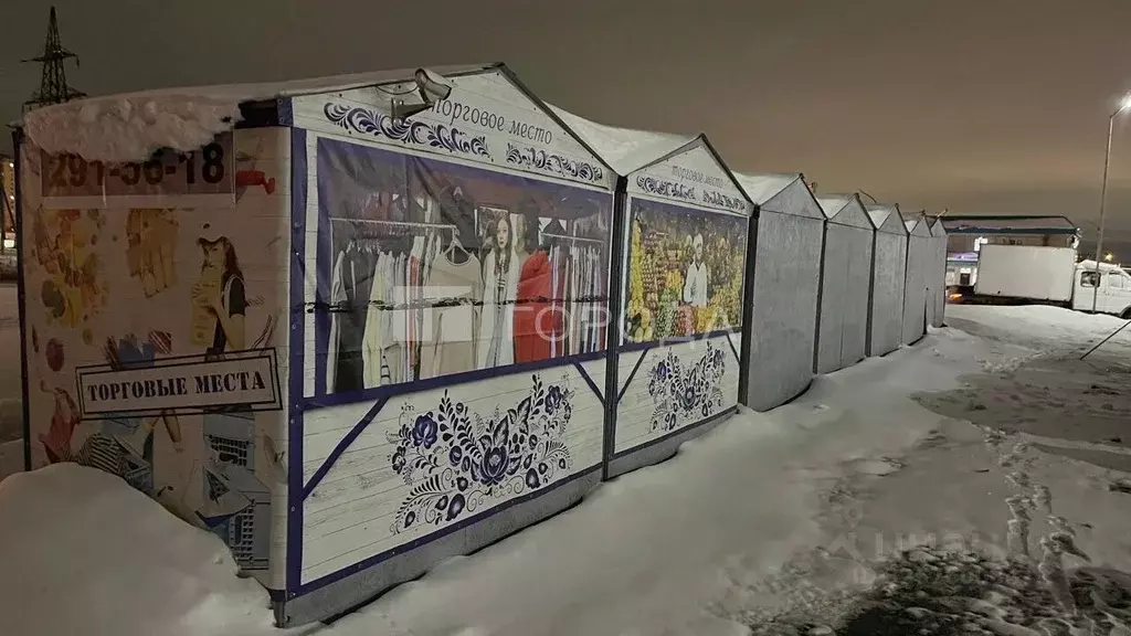 Помещение свободного назначения в Новосибирская область, Новосибирск ... - Фото 1