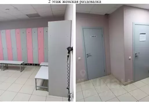 Помещение свободного назначения в Татарстан, Казань просп. Ибрагимова, ... - Фото 2