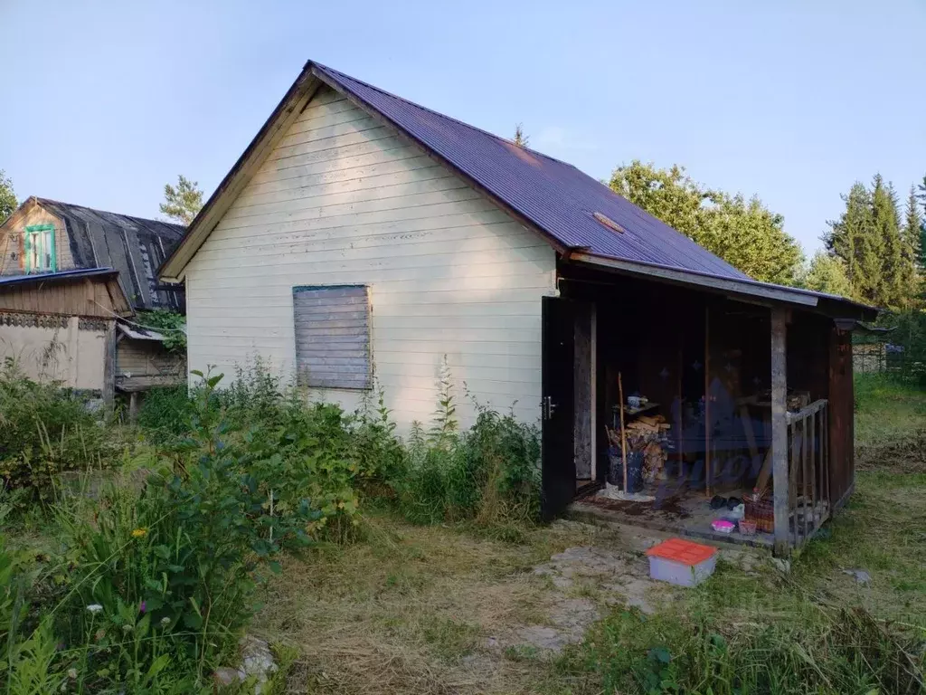 Снт ягодное богородский. Деревня Ягодное. Деревня Ягодное Нижегородская область. СНТ Ягодное сухое.