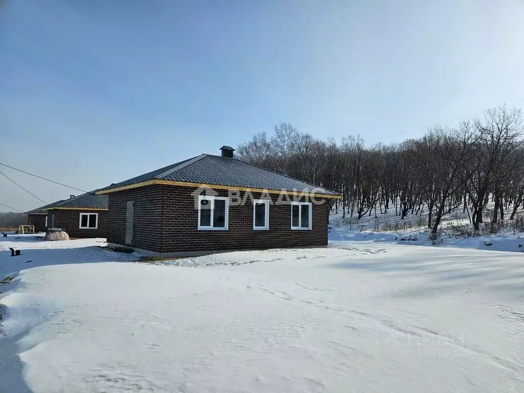 Дом в Амурская область, Благовещенский район, с. Чигири ул. Мира (70 ... - Фото 0