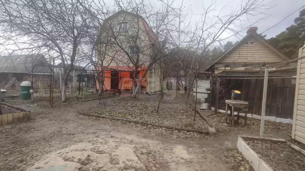Дом в Курганская область, Кетовский муниципальный округ, Березовая ... - Фото 2