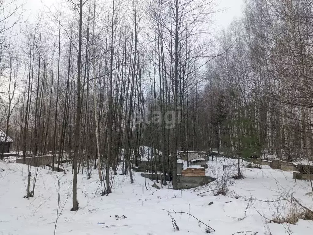 Участок в Нижегородская область, Выкса городской округ, с. Борковка, ... - Фото 0