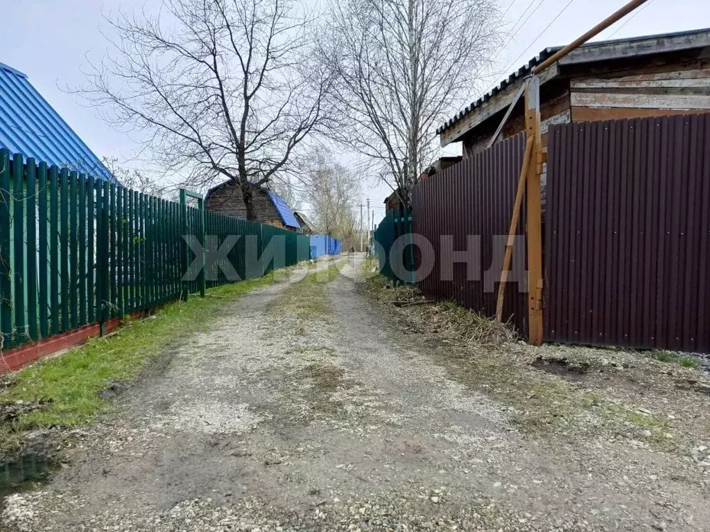 Дом в Новосибирская область, Новосибирск Лилия СНТ,  (30 м) - Фото 1