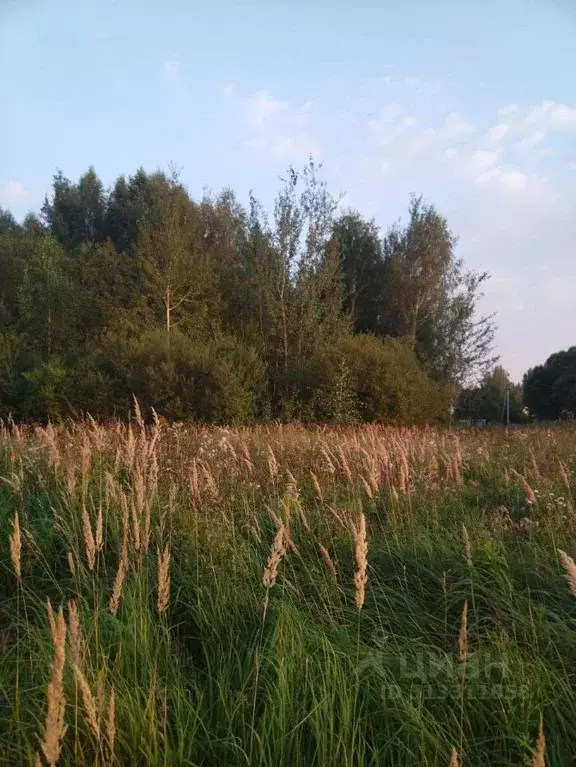 Участок в Московская область, Талдомский городской округ, д. Шатеево  ... - Фото 1