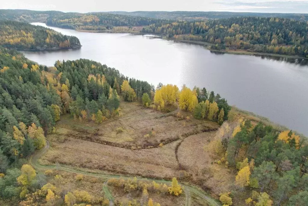 Участок в Республика Карелия, Сортавальский муниципальный округ, ... - Фото 1