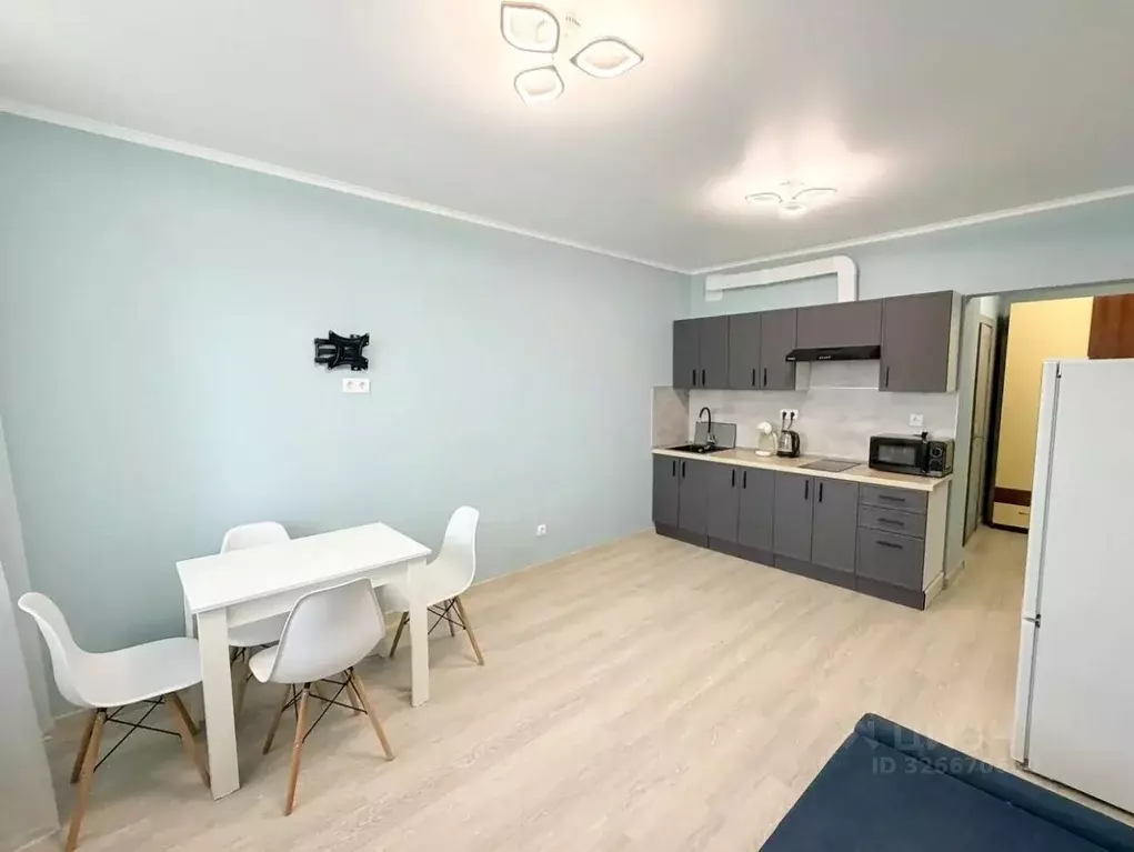 Студия Оренбургская область, Оренбург ул. Неплюева, 5 (29.0 м) - Фото 2