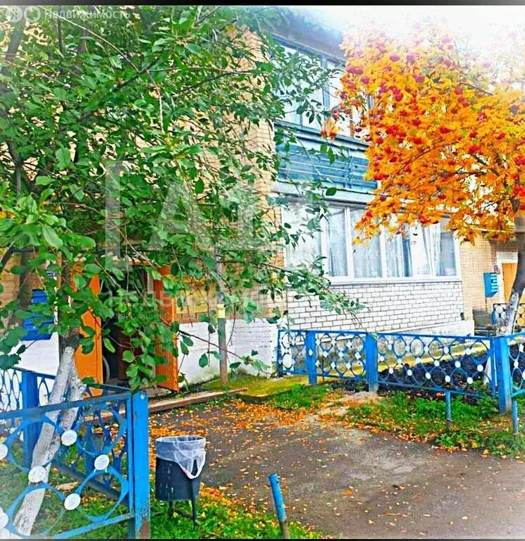 2-комнатная квартира: село Еткуль, улица Кирова, 48 (50.3 м) - Фото 0