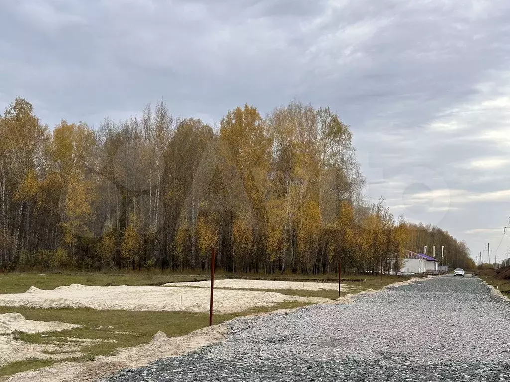 Участок 8 сот. (СНТ, ДНП) - Фото 0