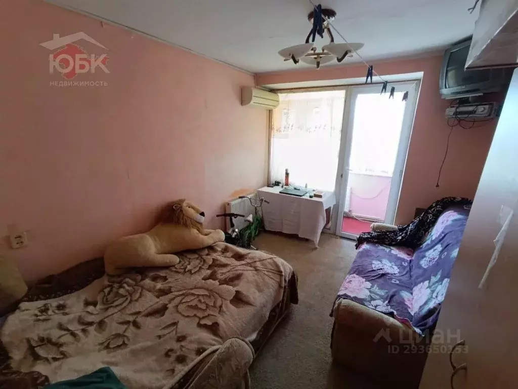 2-к кв. Крым, Евпатория городской округ, Заозерное пгт ул. Аллея ... - Фото 2