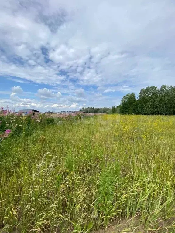 Участок в Тюменская область, Тюменский муниципальный округ, ... - Фото 1
