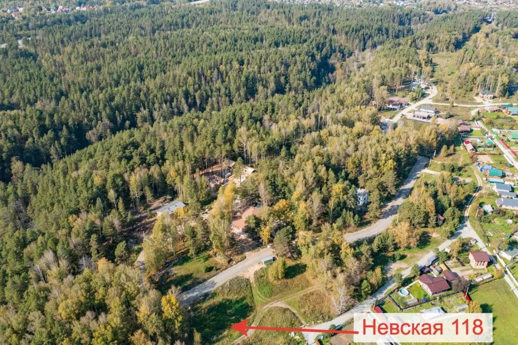 Участок в Новосибирская область, Новосибирский район, Барышевский ... - Фото 2