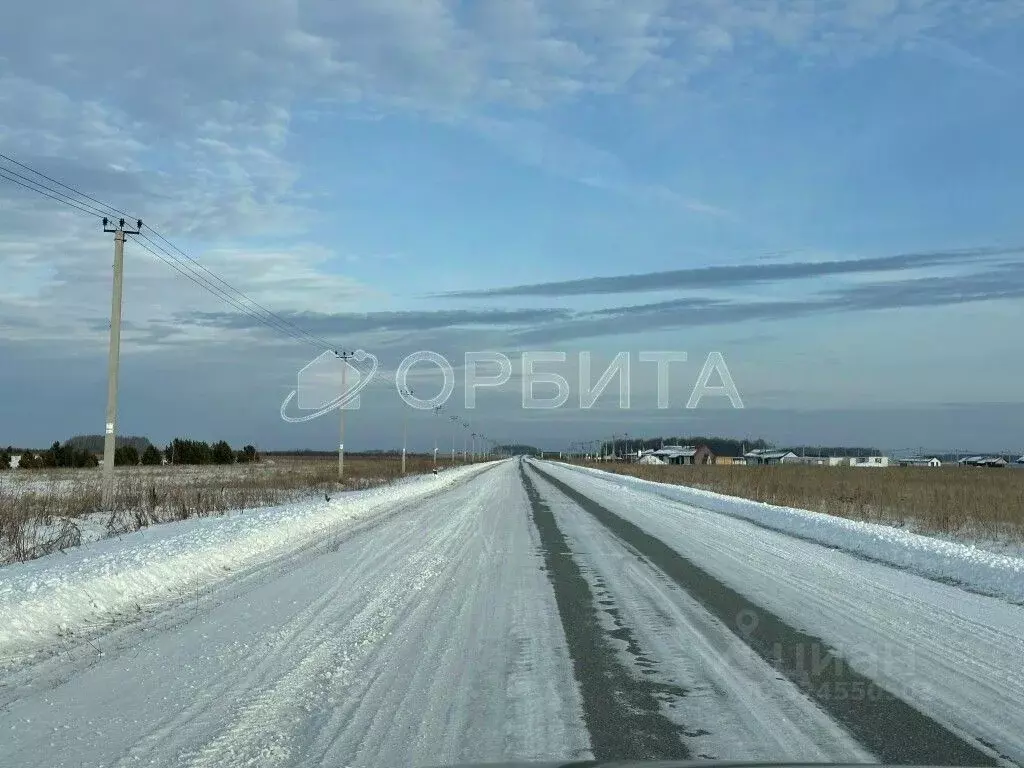 Участок в Тюменская область, Тюменский муниципальный округ, Соловьиная ... - Фото 2