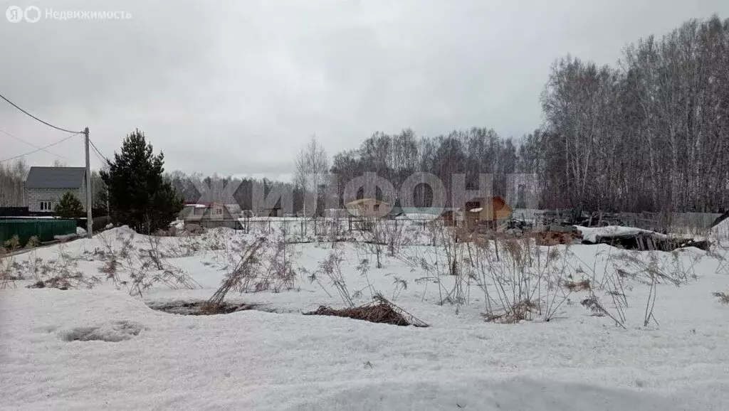 Участок в Каменский сельсовет, СНТ Иня-НАПО (10 м) - Фото 1